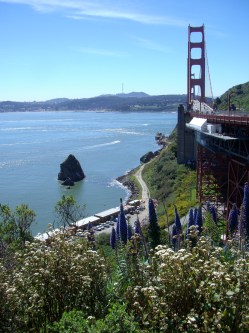 Golden Gate Park in San Francisco, CA