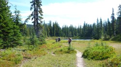 Indian Heaven Wilderness hike