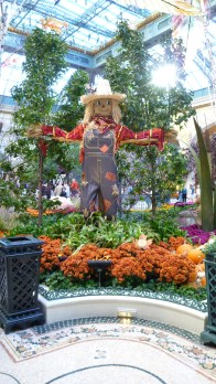 Belaggio Gardens Thanksgiving 2012