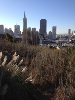 Financial District San Francisco, CA